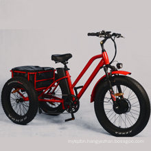 Adult 3 Wheel Electric Bicycle/ Lithium Battery Electric Tricycle Cargo